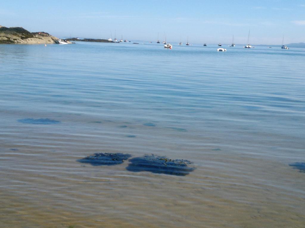 Caravan By Sea Morfa Nefyn Buitenkant foto